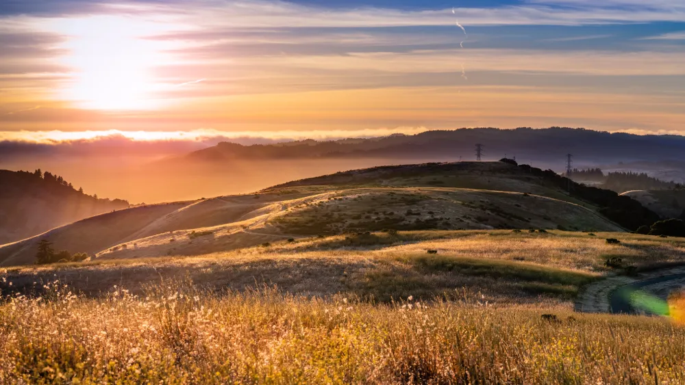 Hills of orange county near our rehab for women in children.