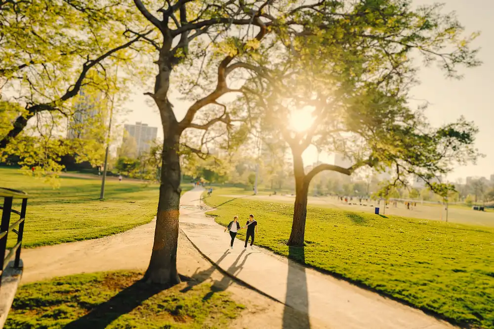 Fentanyl addiction treatment in anaheim