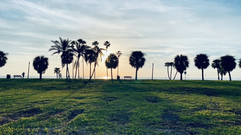 medication management anaheim​