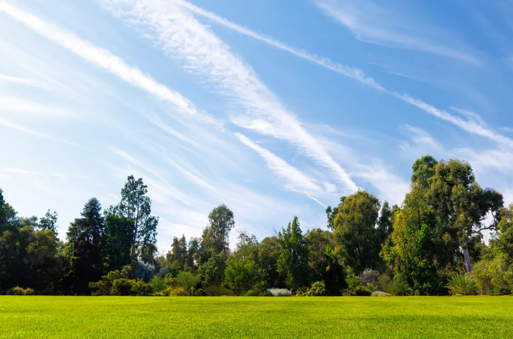 substance abuse treatment for college students in orange county​